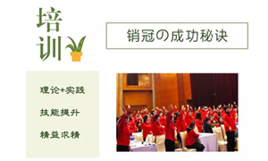 思维营销，终端为王——安徽分公司合肥滨湖店销售精英培训 